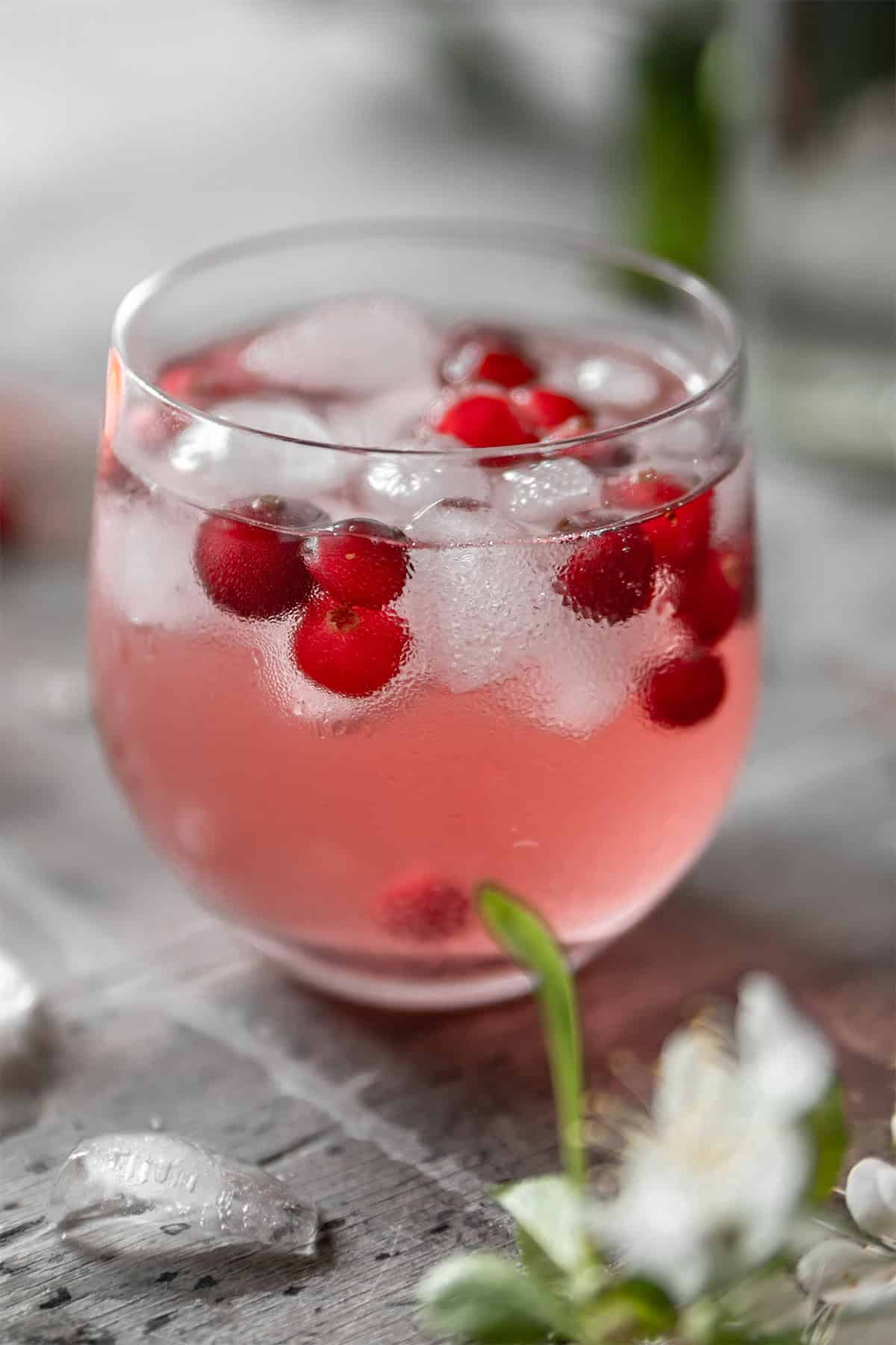 Cranberry Spritzer