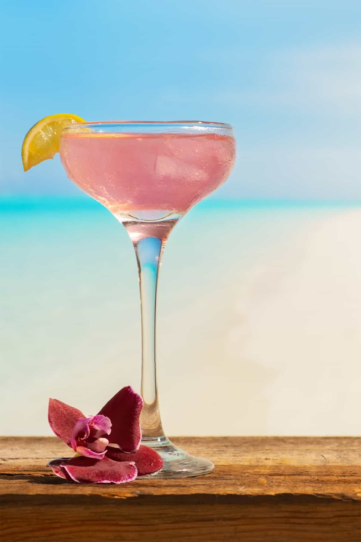 Pink Flamingo